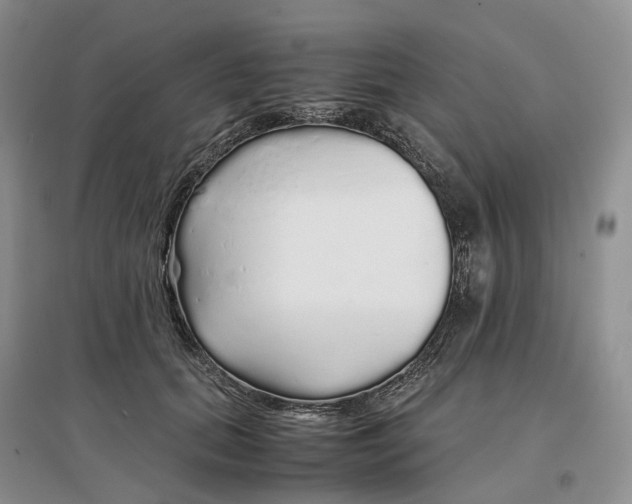 X0000097300655200802291814