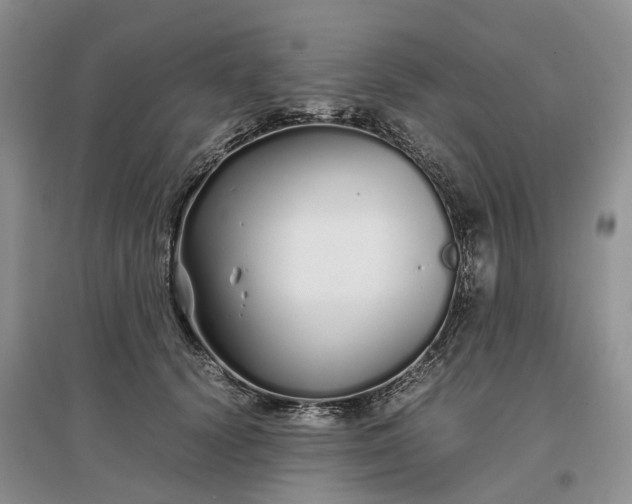 X0000097300656200802291814