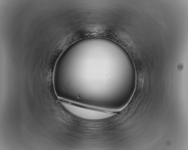 X0000097300657200802291814