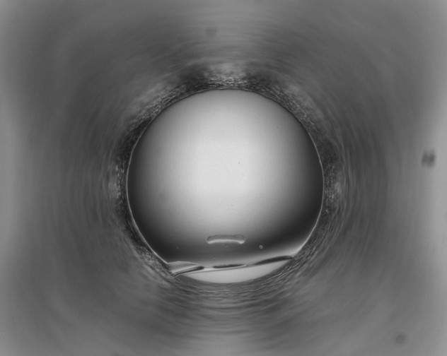 X0000097300658200802291814