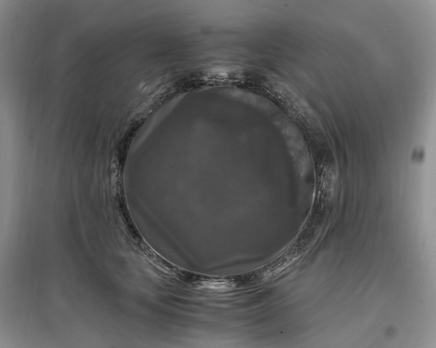 X0000097300659200802291814