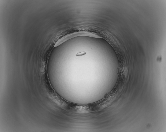 X0000097300660200802291814