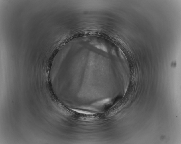 X0000097300661200802291814