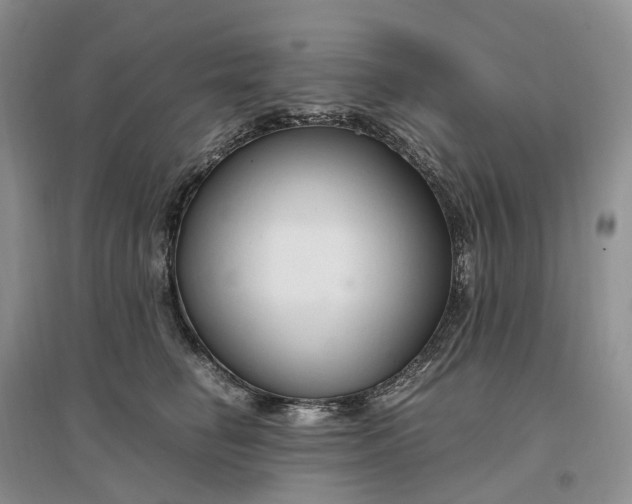 X0000097300662200802291814