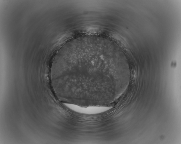 X0000097300663200802291814