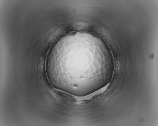 X0000097300664200802291814