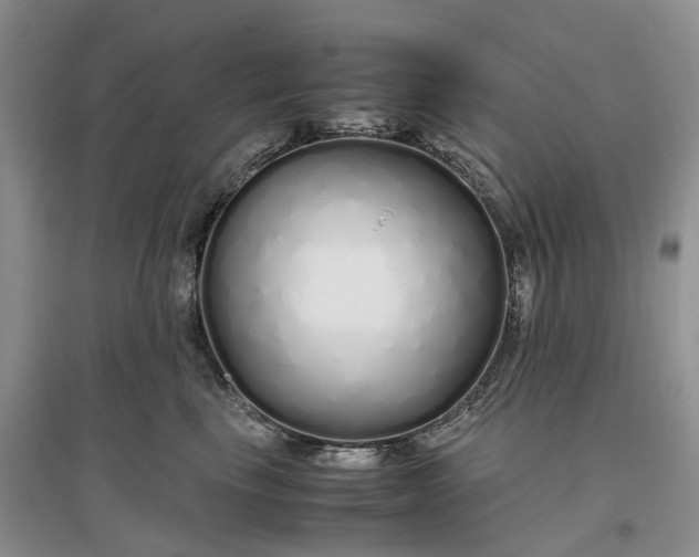 X0000097300665200802291814