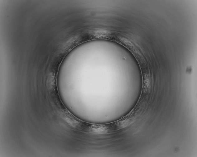 X0000097300667200802291814