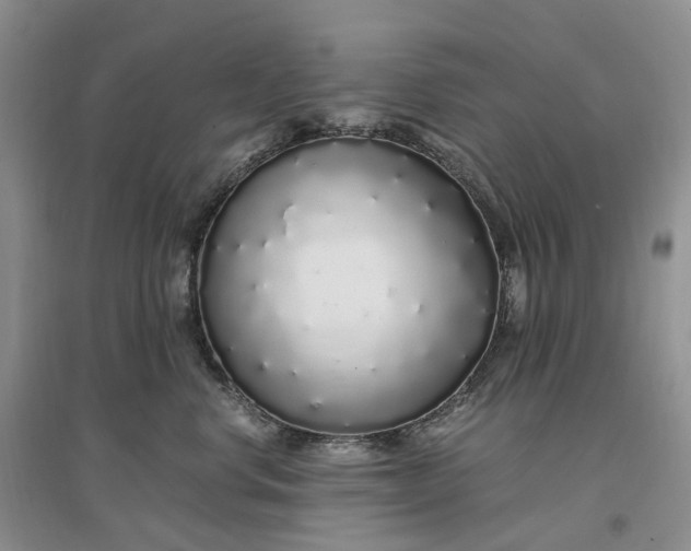 X0000097300668200802291814