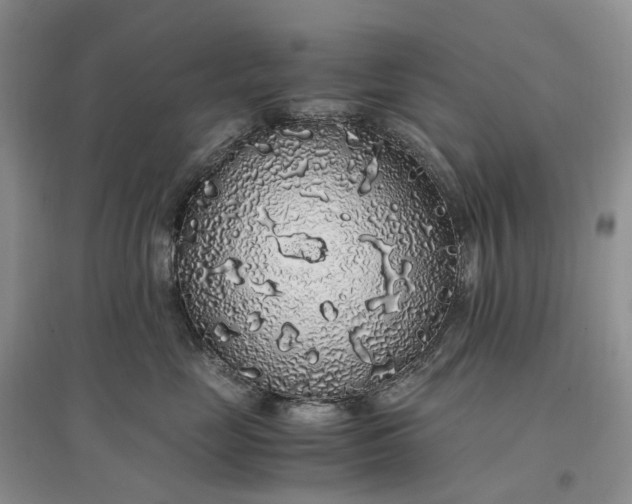 X0000097300669200802291814