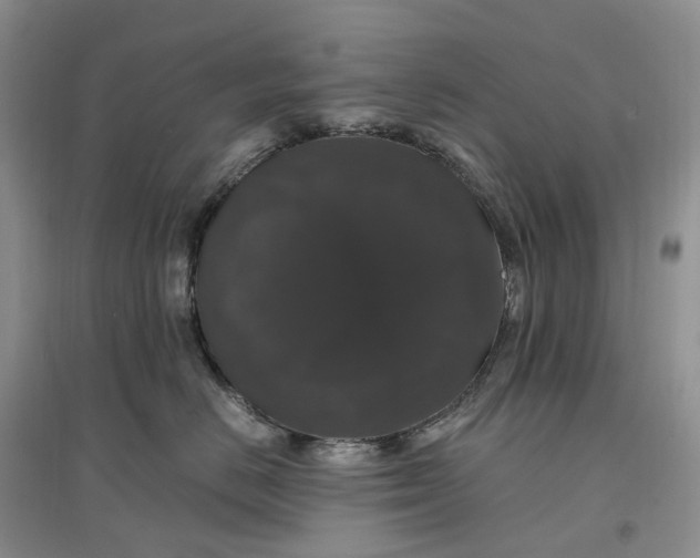 X0000097300670200802291815