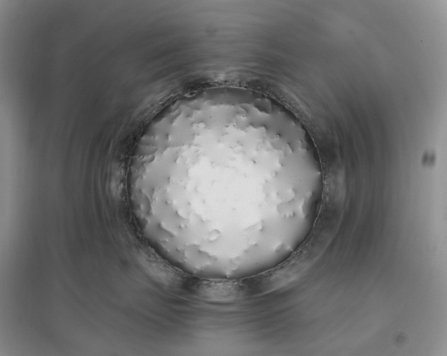 X0000097300671200802291815