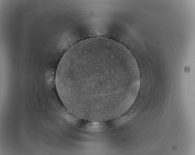 X0000097300672200802291815