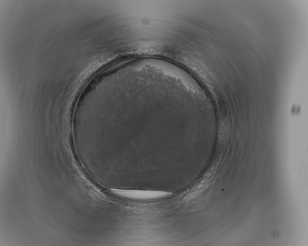 X0000097300673200802291814