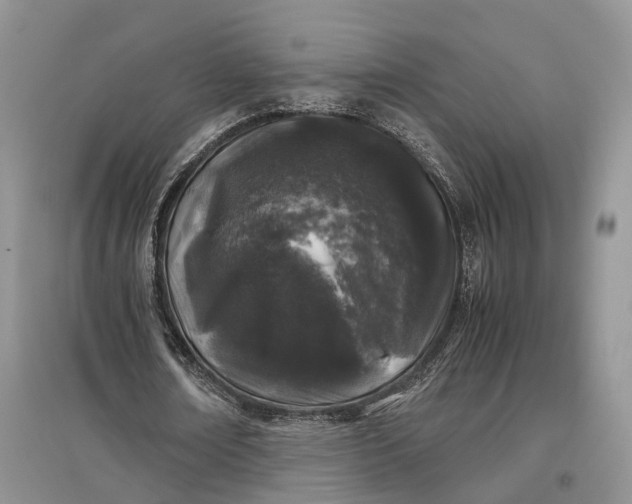 X0000097300674200802291814