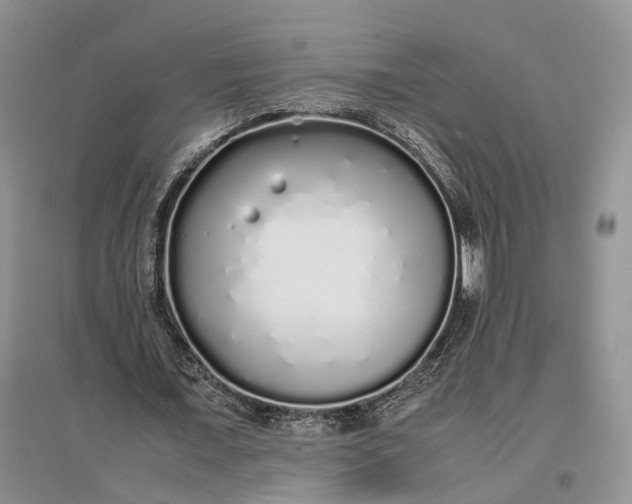 X0000097300675200802291814