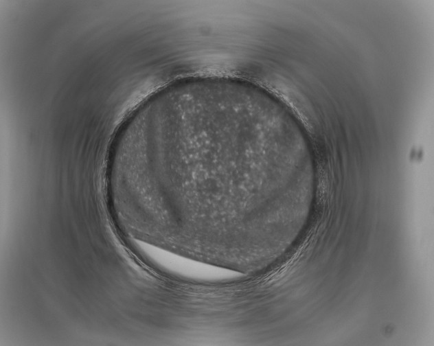 X0000097300677200802291814