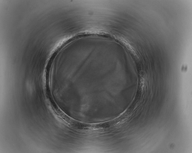 X0000097300678200802291814