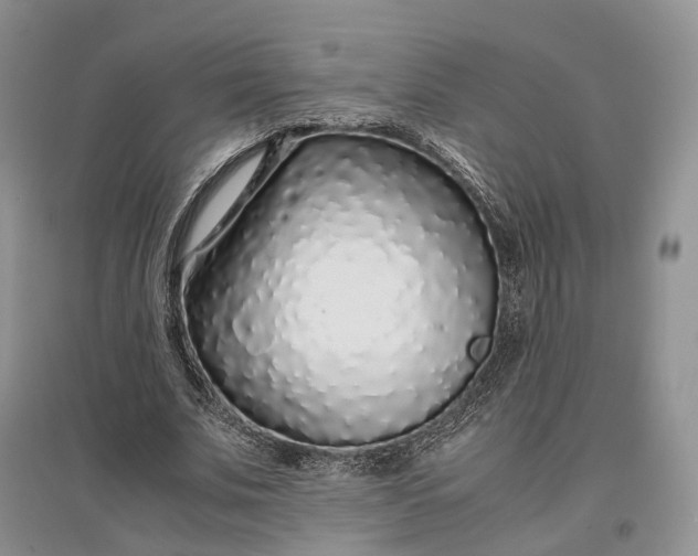 X0000097300679200802291814