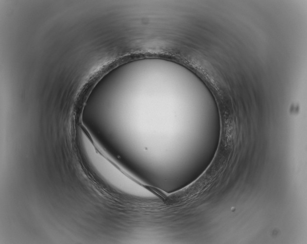 X0000097300680200802291814