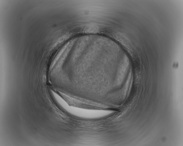 X0000097300681200802291814