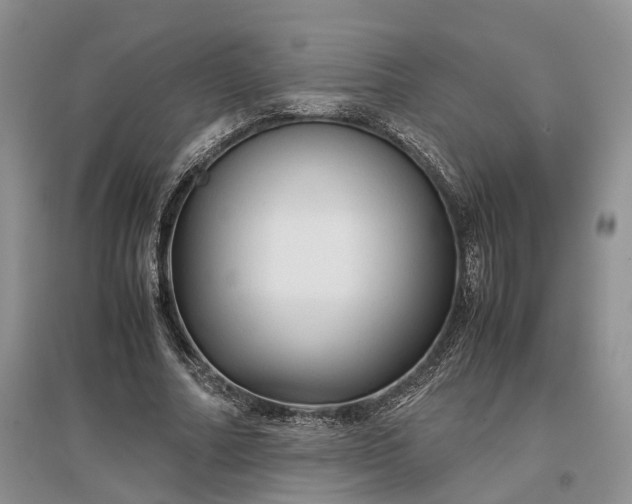 X0000097300682200802291814