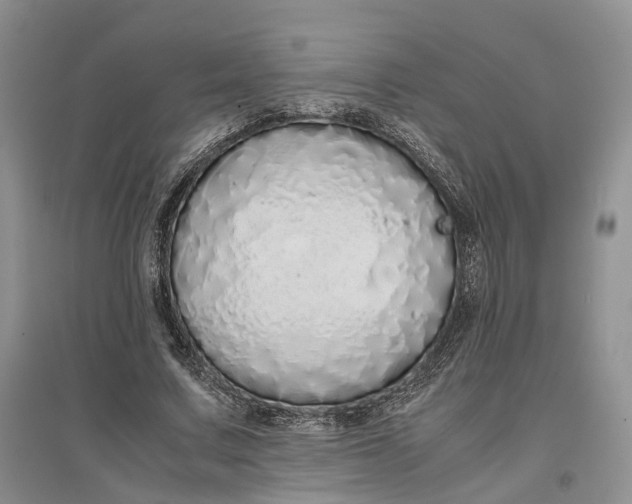 X0000097300683200802291814