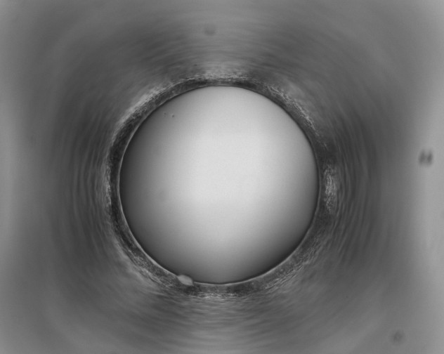 X0000097300684200802291814