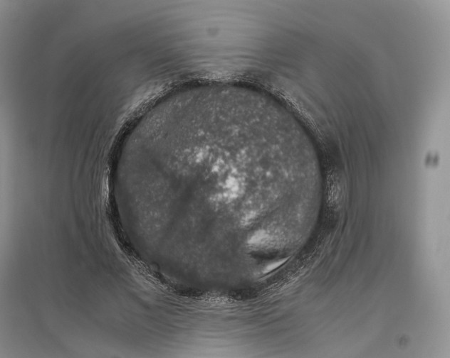 X0000097300685200802291814