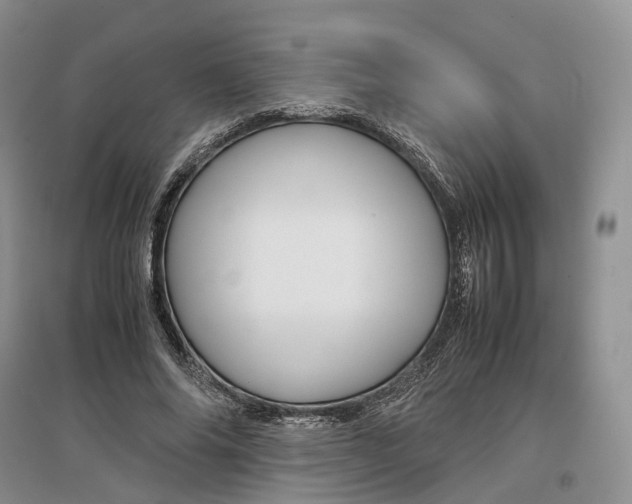 X0000097300686200802291814