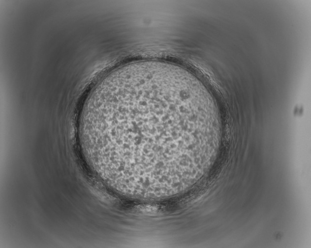 X0000097300687200802291814