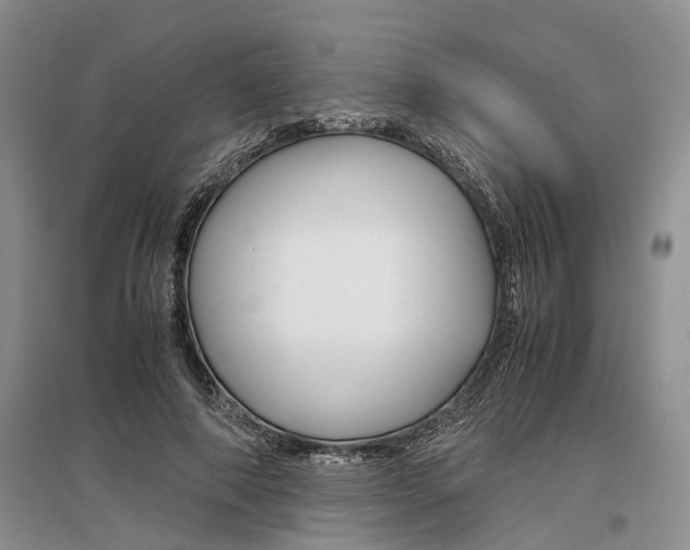 X0000097300690200802291814