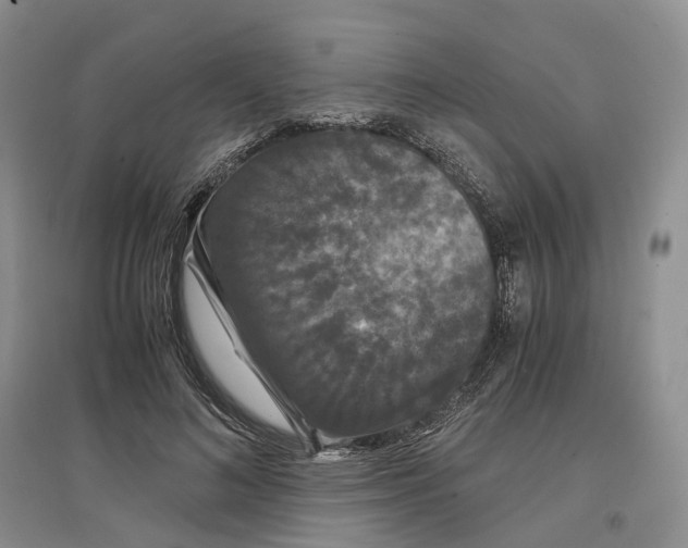 X0000097300692200802291814