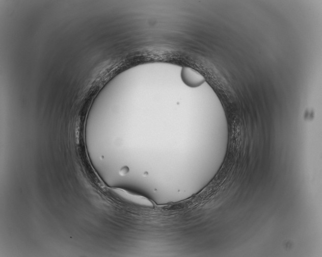 X0000097300694200802291814