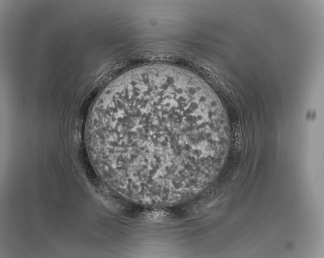 X0000097300695200802291814