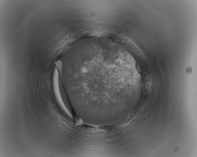 X0000097300696200802291814