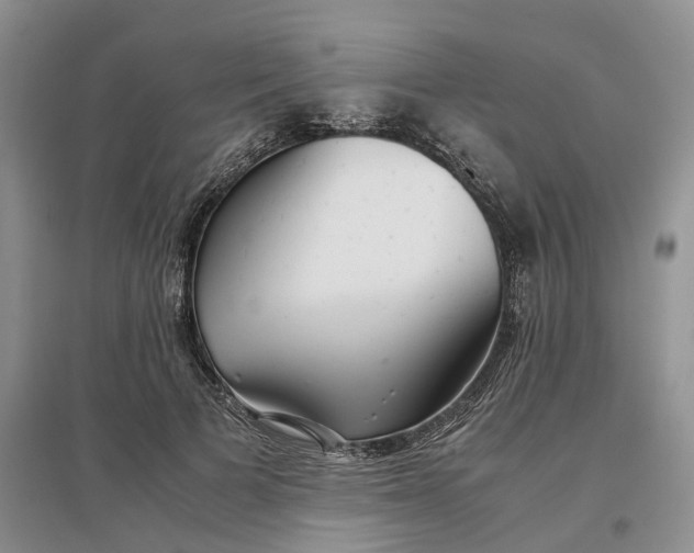 X0000097300697200802291814