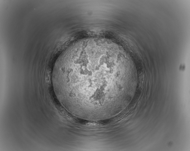 X0000097300699200802291814