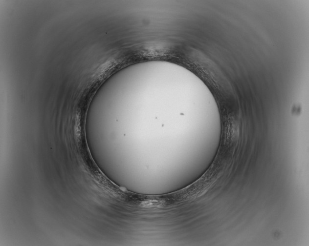 X0000097300700200802291814