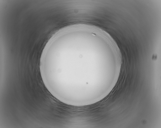 X0000097300701200802291813