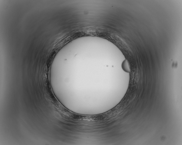 X0000097300702200802291813