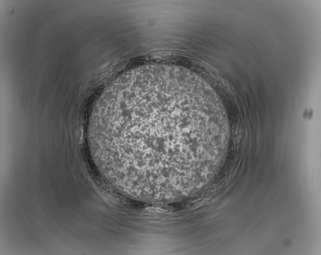 X0000097300703200802291813