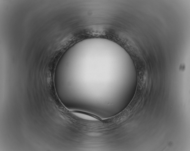 X0000097300704200802291813