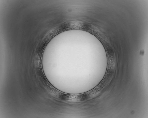 X0000097300705200802291813