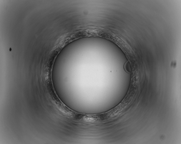 X0000097300706200802291813