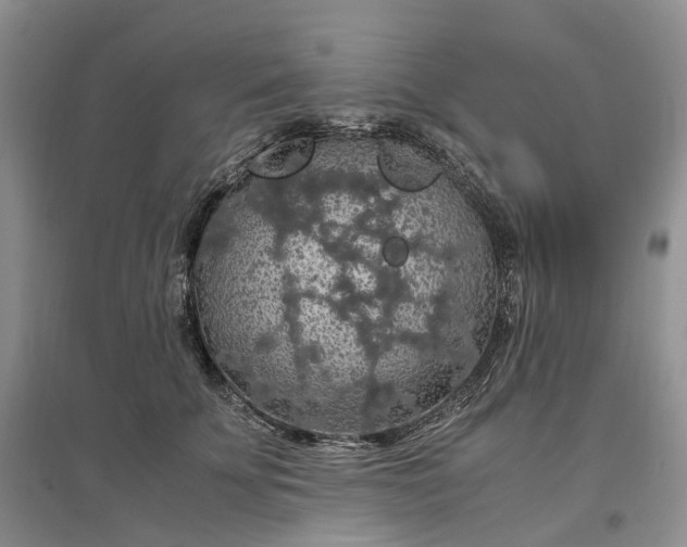 X0000097300707200802291813