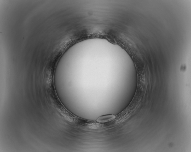 X0000097300708200802291813