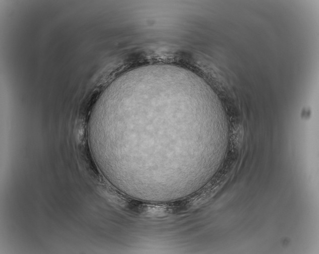 X0000097300709200802291813