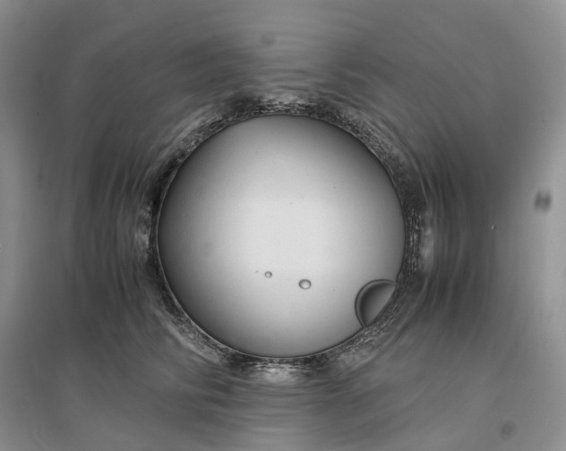 X0000097300710200802291813