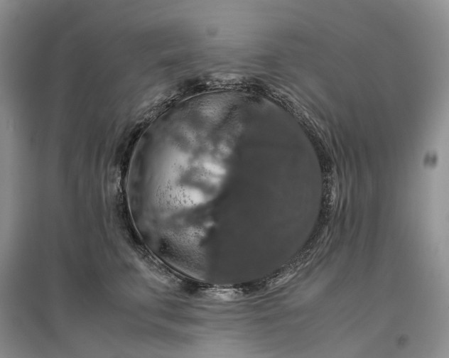 X0000097300711200802291813